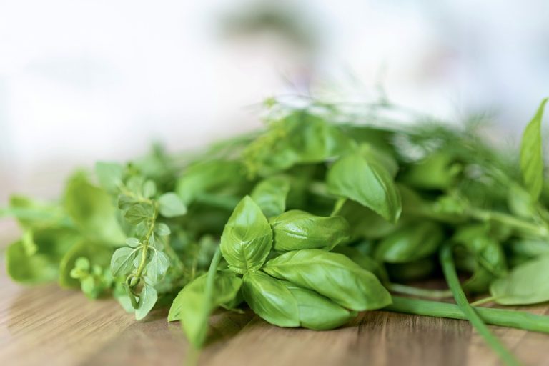 herbs, basil, food-6665308.jpg